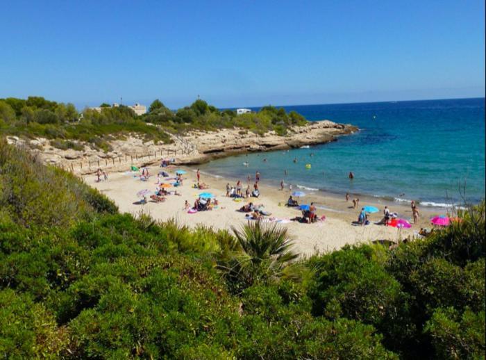 Estudio I Ideal Para Parejas En La Playa Alguer Ла-Амеллья-де-Мар Экстерьер фото